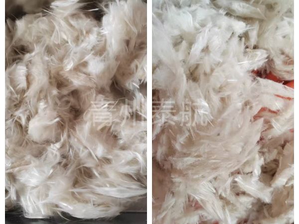 棉线丝切断对比